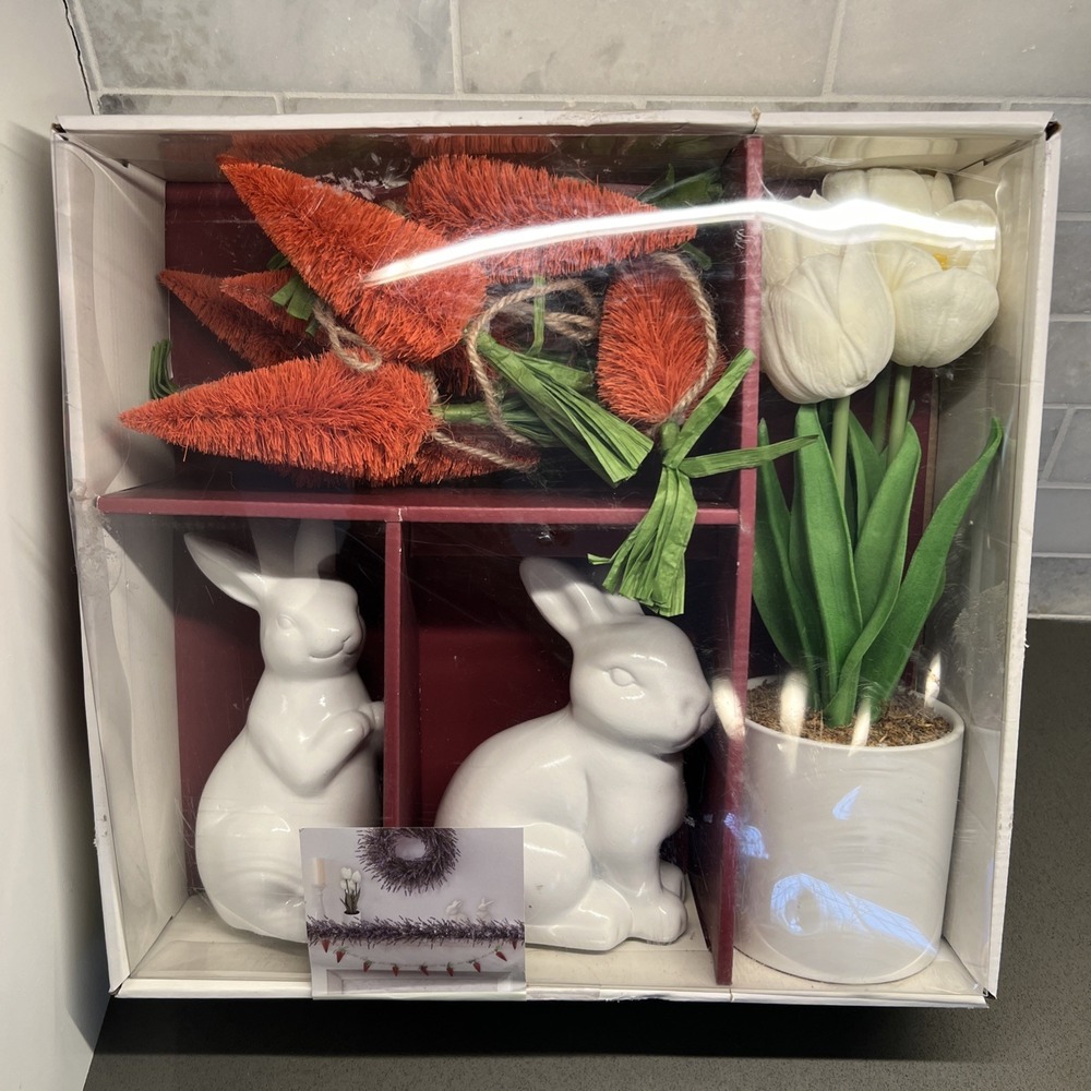 Begonia Market Easter Bunny/carrot/ Tulip Potted Plant Collection